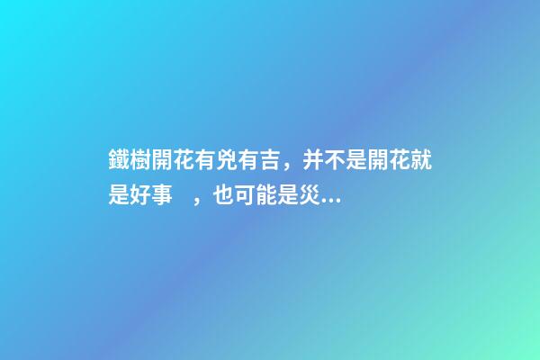 鐵樹開花有兇有吉，并不是開花就是好事，也可能是災(zāi)難來臨